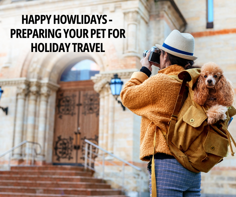 Happy Howlidays - Preparing Your Pet for Holiday Travel